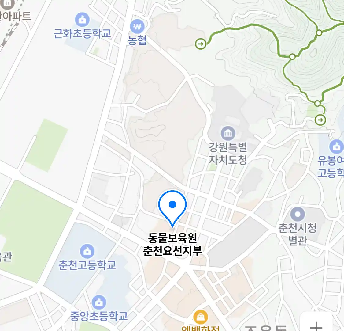 동물보육원 춘천요선지부