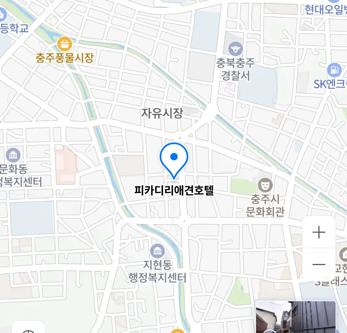 피카디리애견호텔