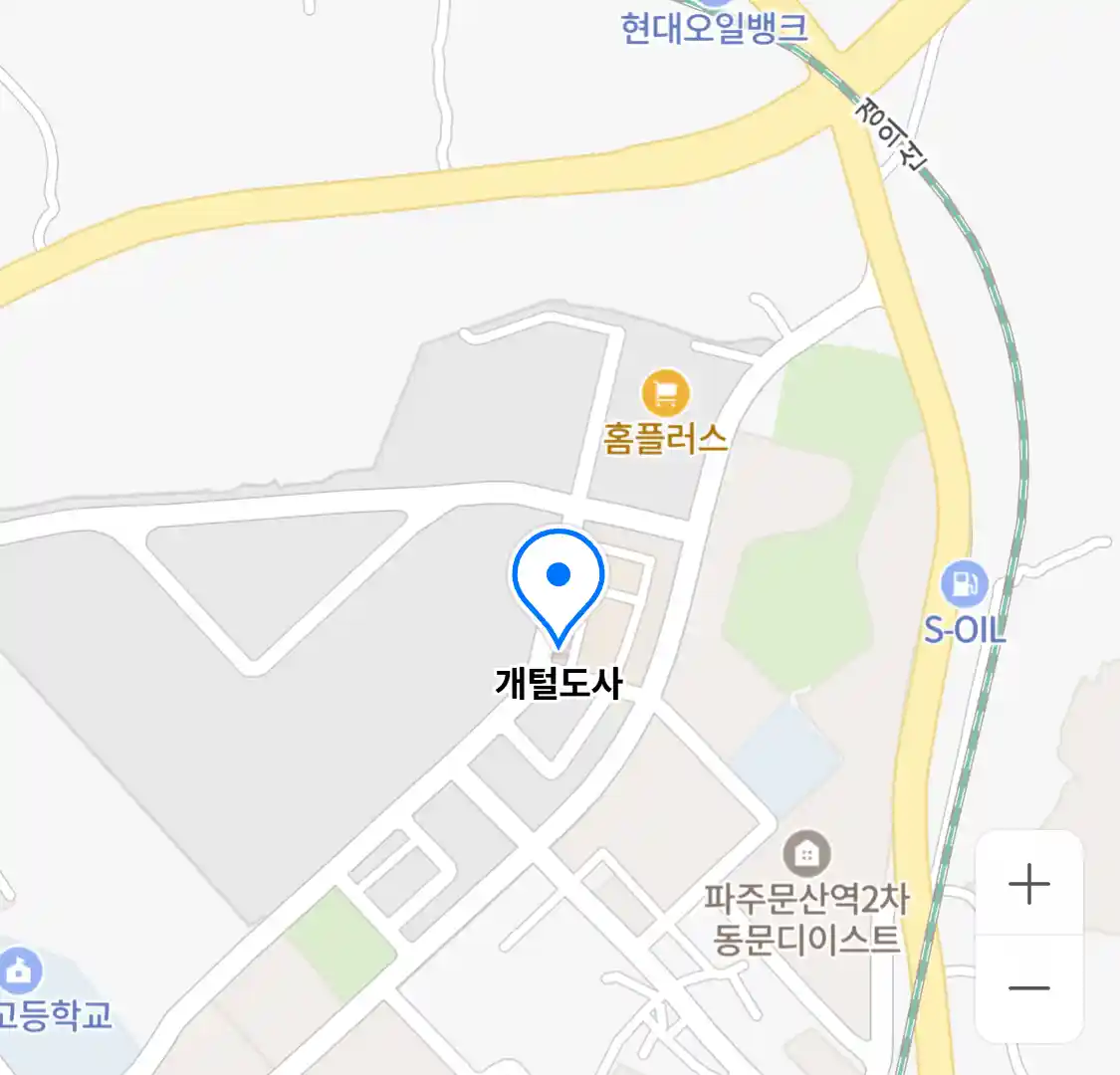 개털도사