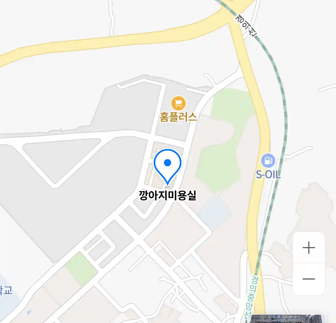 깡아지미용실