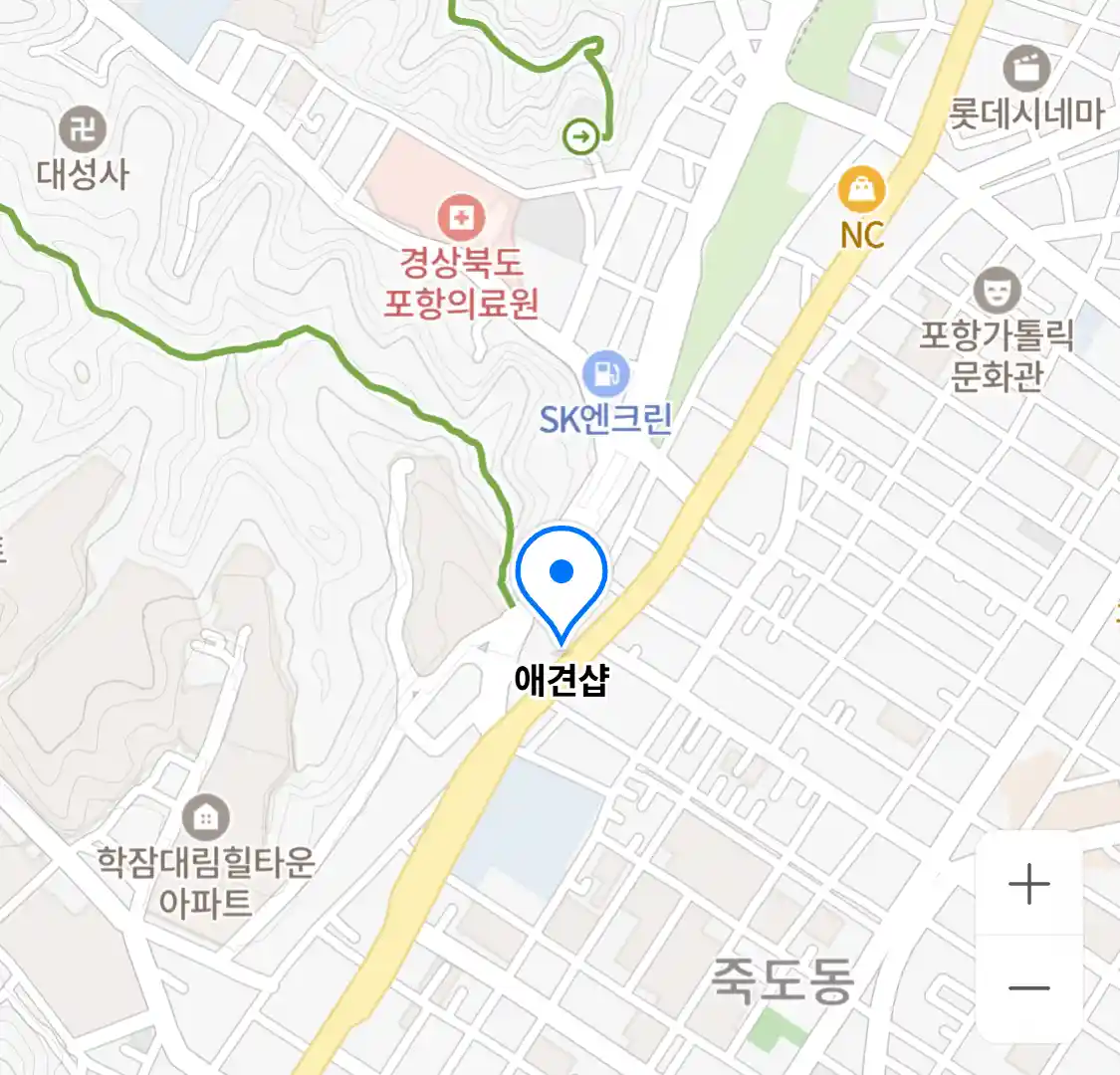 애견샵