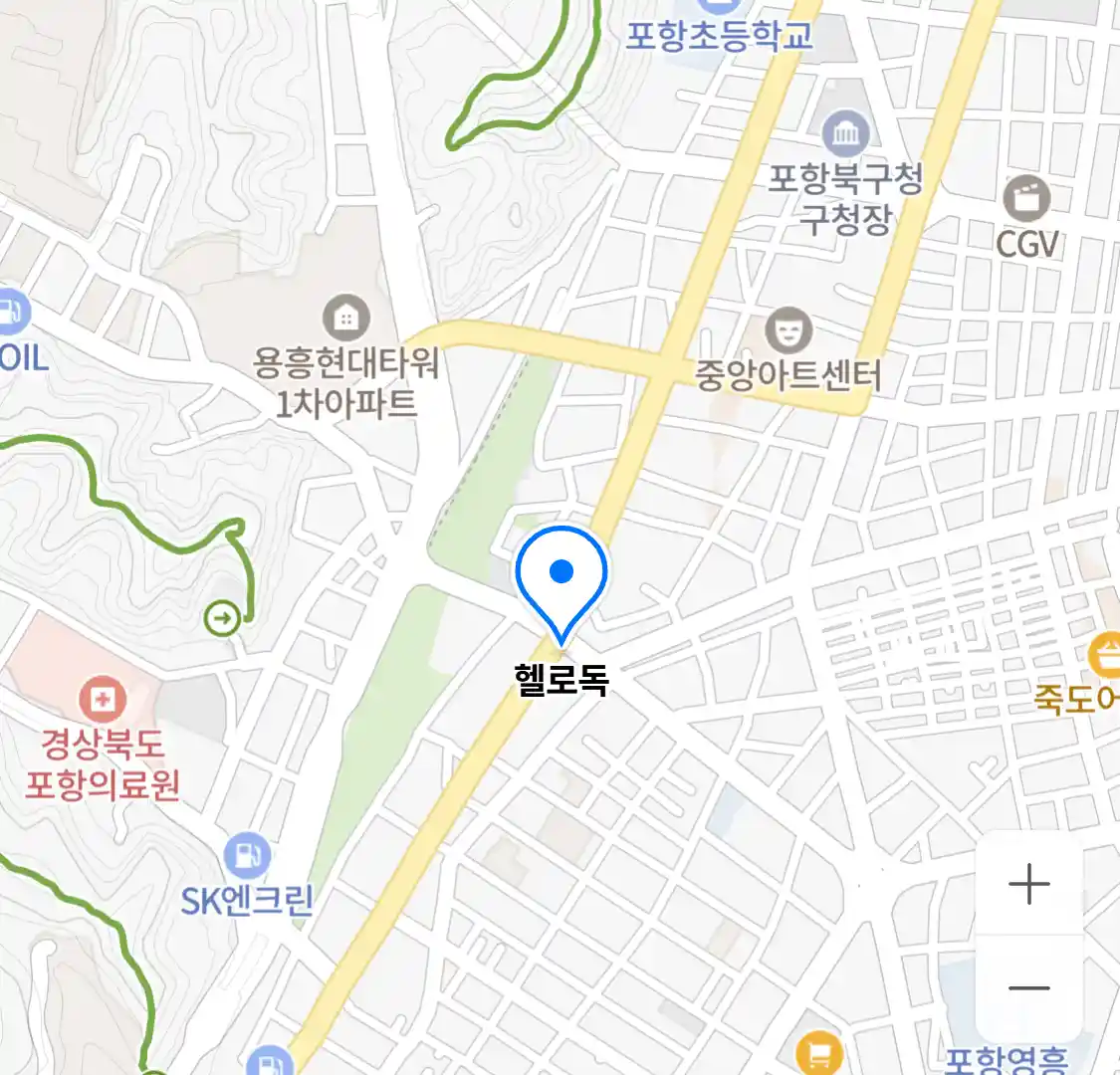 헬로독