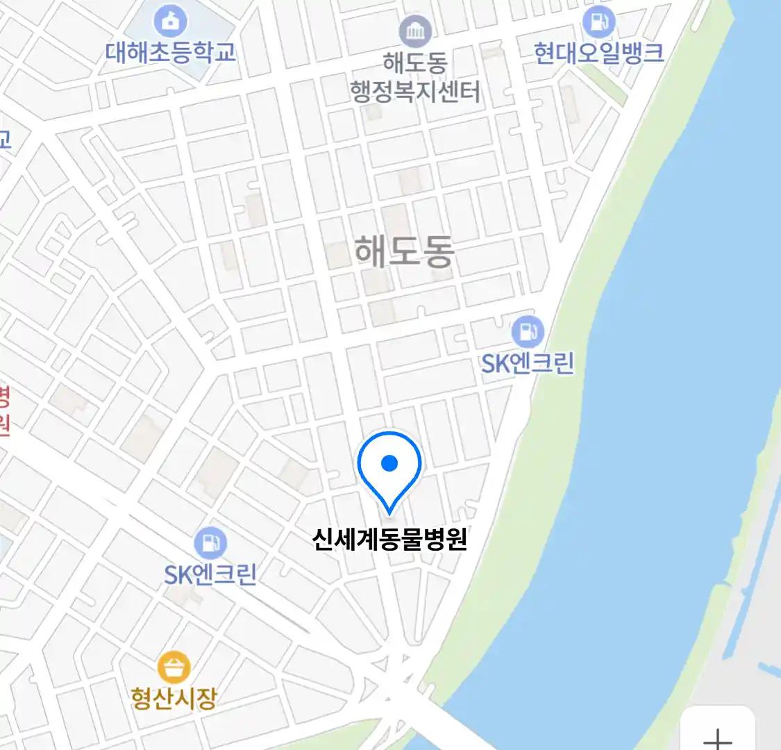 신세계동물병원