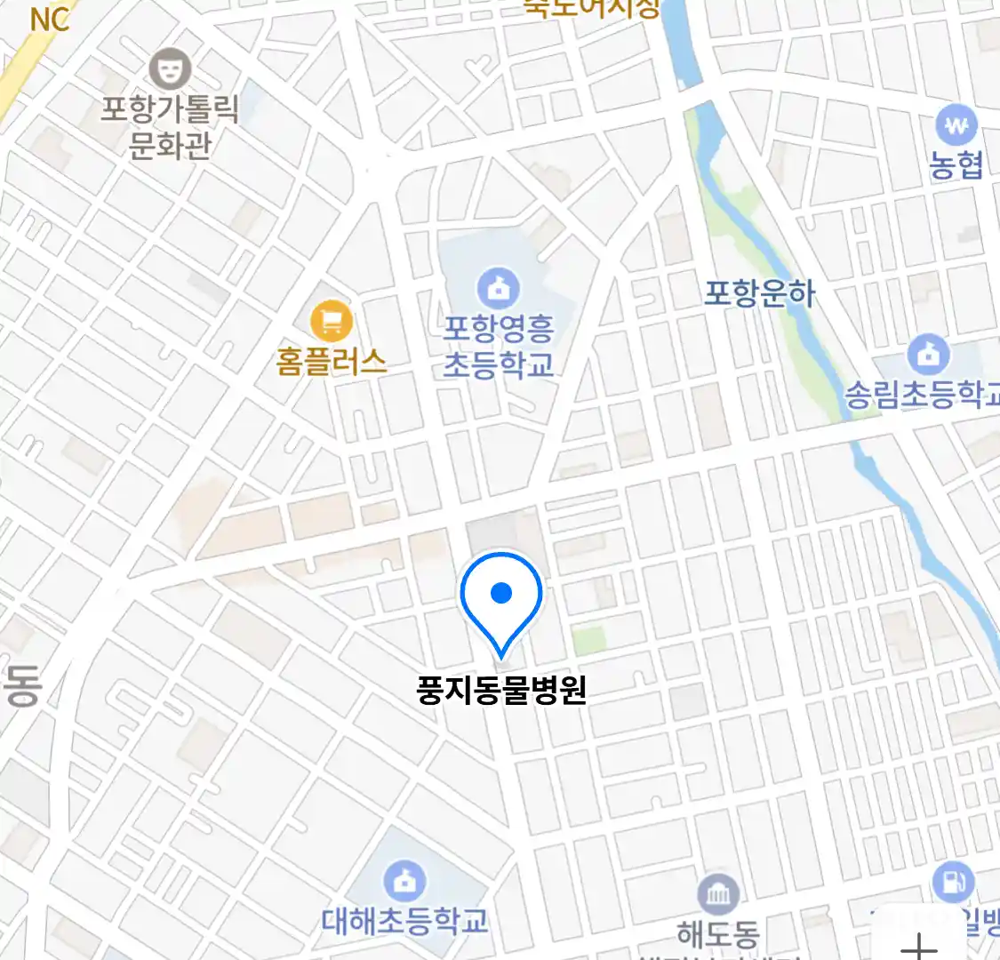 풍지동물병원