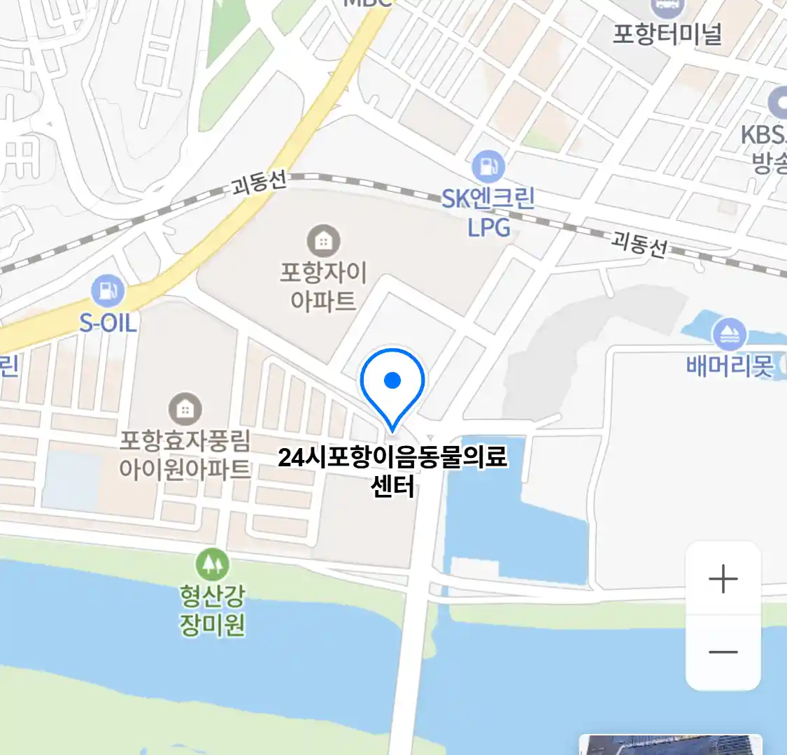 24시포항이음동물의료센터