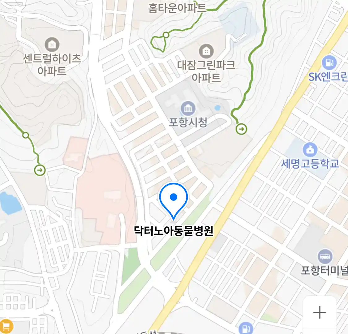 닥터노아동물병원