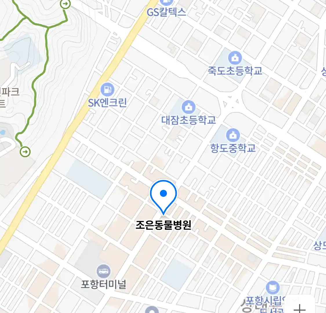 조은동물병원