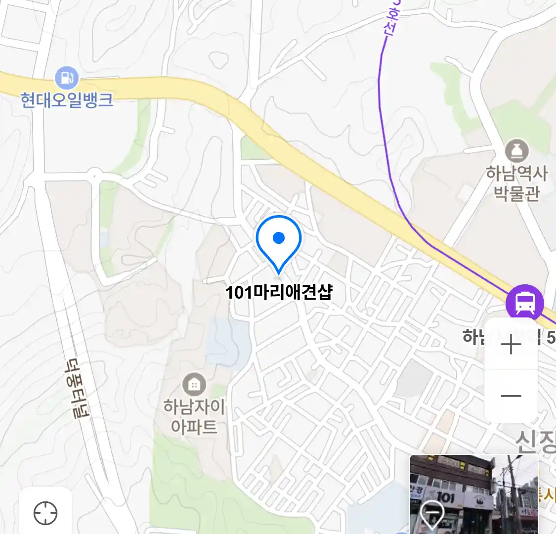101마리애견샵