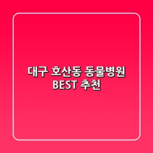 대구 호산동 동물병원 BEST 추천