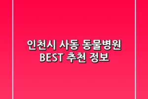 인천시 사동 동물병원 BEST 추천 정보