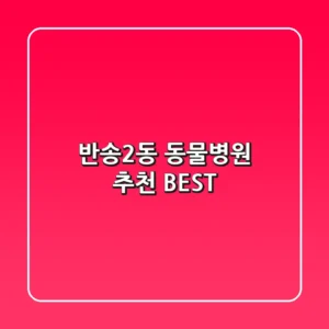 반송2동 동물병원 추천 BEST