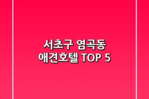 서초구 염곡동 애견호텔 TOP 5