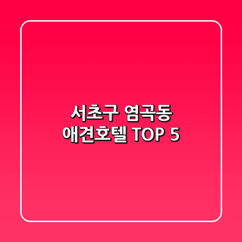 서초구 염곡동 애견호텔 TOP 5