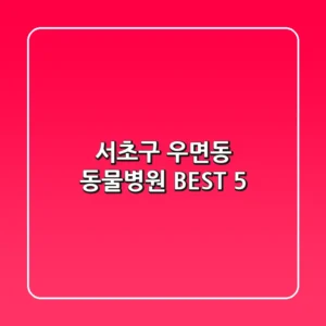 서초구 우면동 동물병원 BEST 5