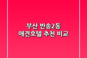 부산 반송2동 애견호텔 추천 비교