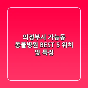 의정부시 가능동 동물병원 BEST 5: 위치 및 특징