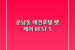 운남동 애견호텔 & 펫 케어 BEST 5
