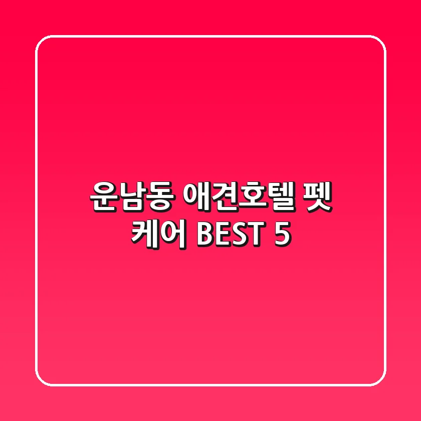 운남동 애견호텔 & 펫 케어 BEST 5