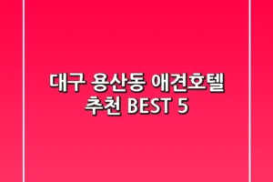 대구 용산동 애견호텔 추천 BEST 5
