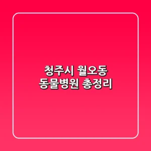청주시 월오동 동물병원 총정리