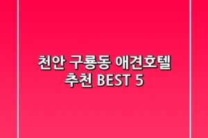 천안 구룡동 애견호텔 추천 BEST 5