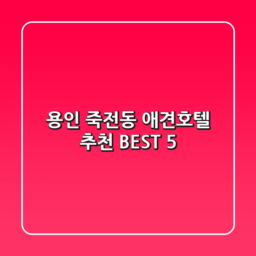 용인 죽전동 애견호텔 추천 BEST 5