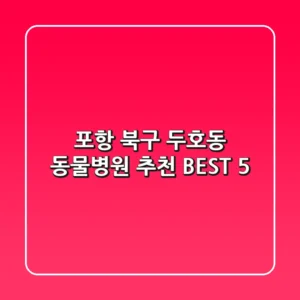 포항 북구 두호동 동물병원 추천 BEST 5