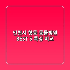 인천시 항동 동물병원 BEST 5 특징 비교