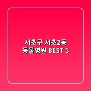 서초구 서초2동 동물병원 BEST 5
