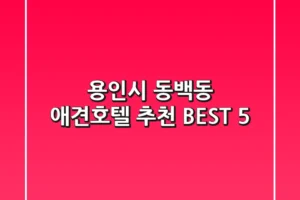 용인시 동백동 애견호텔 추천 BEST 5