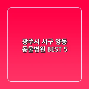광주시 서구 양동 동물병원 BEST 5