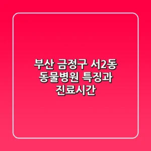 부산 금정구 서2동 동물병원: 특징과 진료시간
