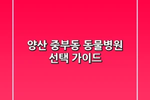 양산 중부동 동물병원 선택 가이드