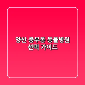 양산 중부동 동물병원 선택 가이드
