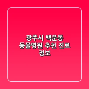 광주시 백운동 동물병원 추천 진료 정보