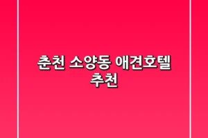 춘천 소양동 애견호텔 추천