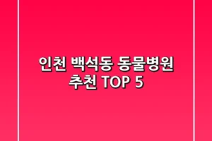 인천 백석동 동물병원 추천 TOP 5