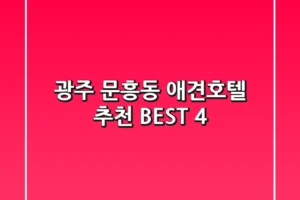 광주 문흥동 애견호텔 추천 BEST 4