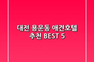 대전 용운동 애견호텔 추천 BEST 5