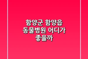 함양군 함양읍 동물병원, 어디가 좋을까?