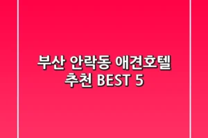 부산 안락동 애견호텔 추천 BEST 5