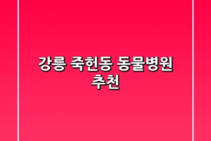 강릉 죽헌동 동물병원 추천
