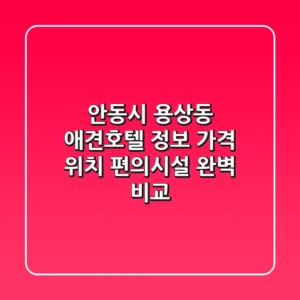 안동시 용상동 애견호텔 정보: 가격, 위치, 편의시설 완벽 비교