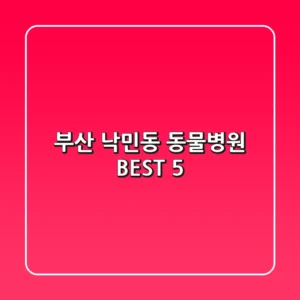 부산 낙민동 동물병원 BEST 5