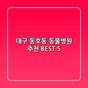 대구 동호동 동물병원 추천 BEST 5