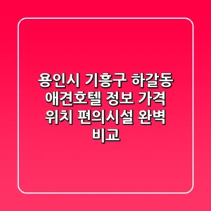 용인시 기흥구 하갈동 애견호텔 정보: 가격, 위치, 편의시설 완벽 비교