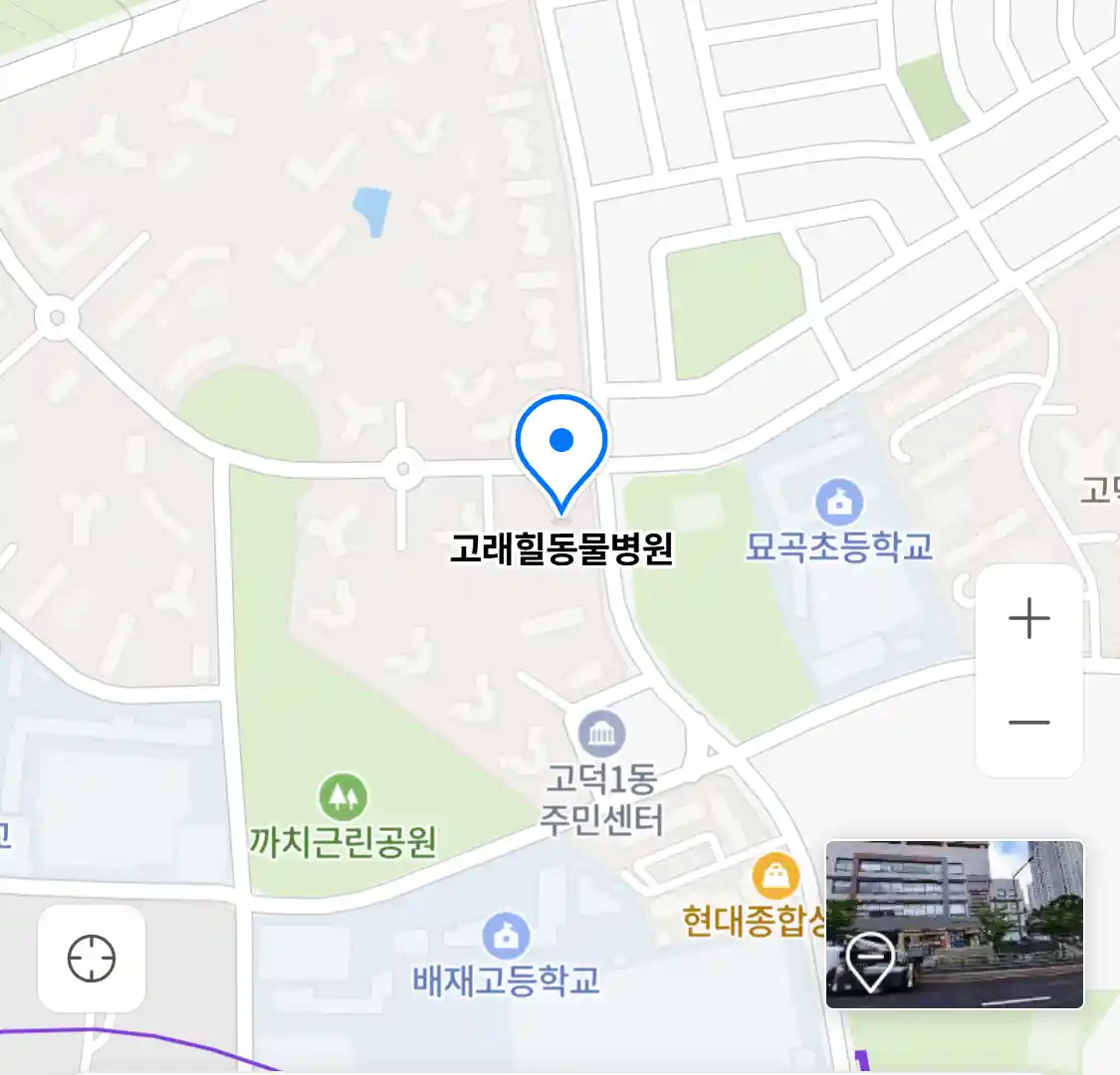 고래힐동물병원