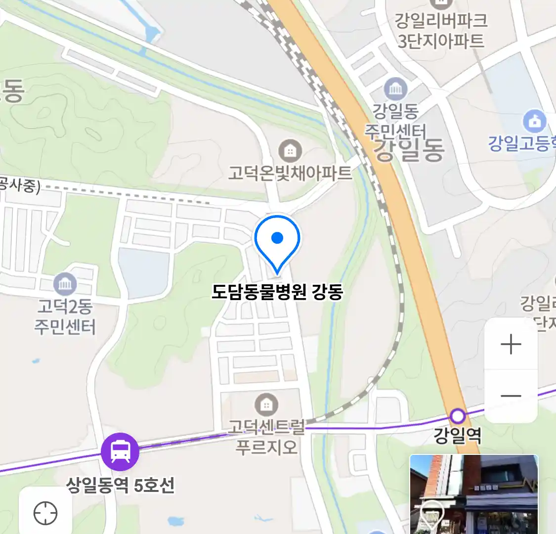 도담동물병원 강동
