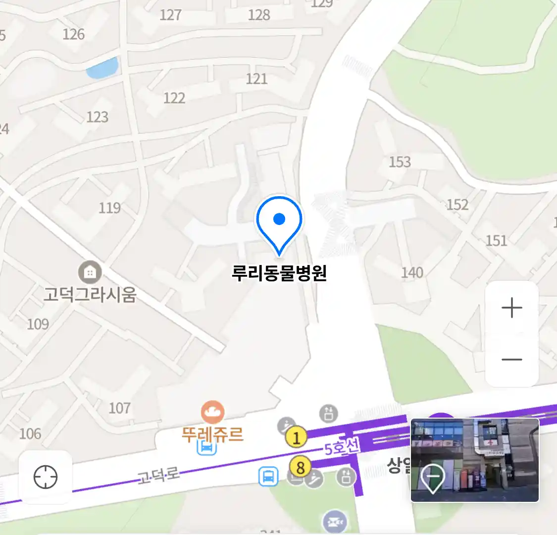 루리동물병원