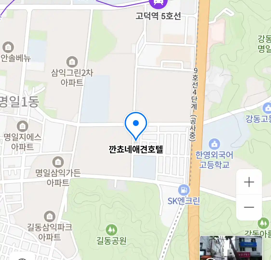 깐쵸네애견호텔